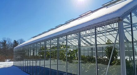 Obraz premium Snow-covered greenhouse roof on a sunny winter day