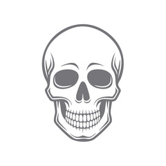 Graphic illustration of a human skull, anatomical design