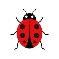 Cute Ladybug Insect Vector Illustration for Nature and Garden Themes