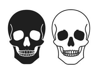 Fototapeta premium human skull vector illustration skeleton head with teeth black and white version
