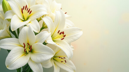 White lilies arranged in a bouquet against a soft background  