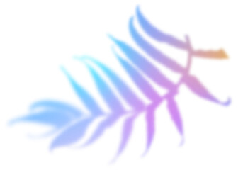 Palm Shadow Gradient