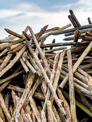 Ausrangierte Holz Stangen im Weinberg