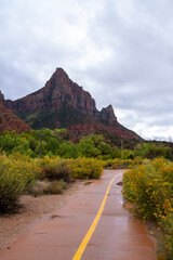 Wet path leads to towering red rock mountains under cloudy sky.