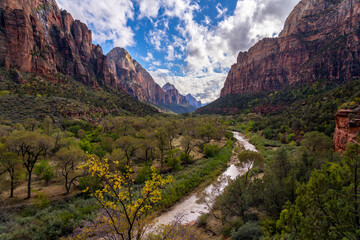Naklejka premium Zion National Park canyon with river and autumn trees.