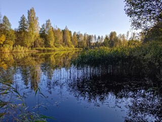 Autumn landscape on the river bank in the forest and blue sky