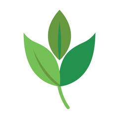 Flat Color Tea Leaf Illustration Minimalist Vector