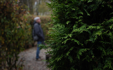A blurred silhouette of a man in the labyrinth of green plantings of a city park