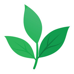 Green Tea Leaves Flat Design Botanical Artwork