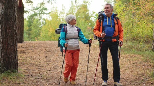 Hiking tourism adventure. Senior couple man woman enjoying outdoor recreation hiking in forest. Happy old people backpackers hikers enjoy walking hike trekking tourism active vacation beauty of nature