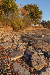 Limestone rock formations and low vegetation at Sandbanks Provincial Park in autumn in Ontario