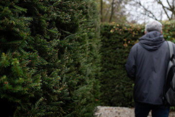 A blurred silhouette of a man in the labyrinth of green plantings of a city park, view from the back