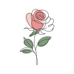 Rose line art drawing pink flower illustration botanical sketch floral design vector