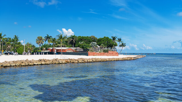 Scenic Florida coastline with palm trees and historic fort near the ocean