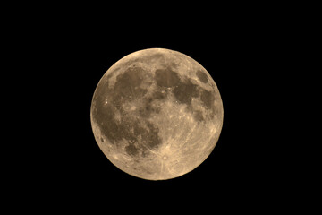 A magnificent full moon glows against the dark expanse of space, revealing intricate craters and the captivating lunar surface.