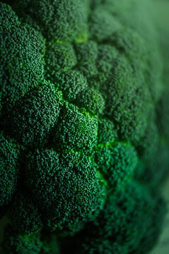 Close up macro photo of fresh green broccoli texture with natural light and shallow depth of field