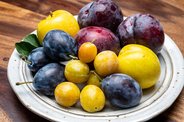 Sweet ripe red, purple, yellow mirabelle plums, healthy organic fruits close up