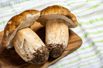 Boletus edulis, cepe, porcini mushrooms unwashed on wooden background, tasty vegetarian food from...