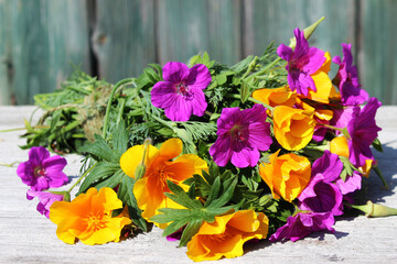 Fototapete bei efototapeten.de bestellen   