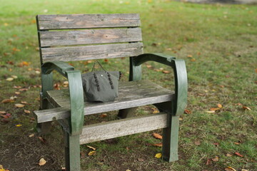 A green bench with a brown wooden frame sits in a grassy field