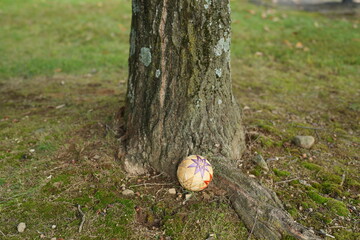 A small ball is sitting on the ground next to a tree