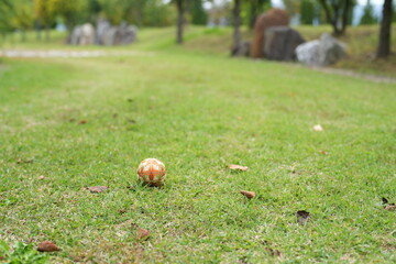 A small orange ball is sitting on the grass in a park