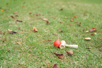 A wooden toy is laying on the grass
