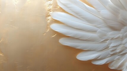 White angel wing detail against golden background, soft feathers creating ethereal light and shadow effect for spiritual and celestial design concepts.