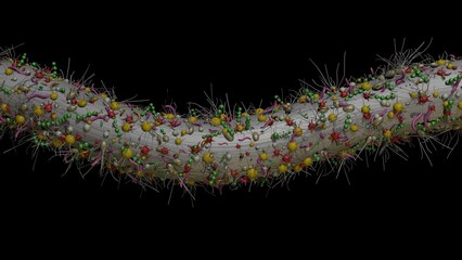 Dental floss extreme magnification close view.
Bacteria on dental floss. 3d render illustration.