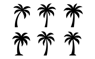 Fototapeta premium Silhouette palm tree collection for beach and tropical designs