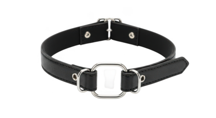 Elegant black leather collar with silver hardware for a modern fashion statement