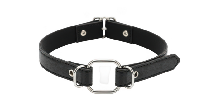 Elegant black leather collar with silver hardware for a modern fashion statement
