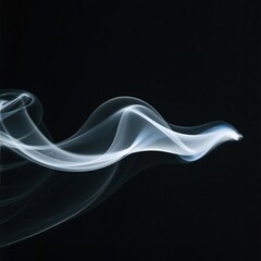Ethereal white smoke creates elegant curves against a solid black background, showcasing a mesmerizing abstract visual.