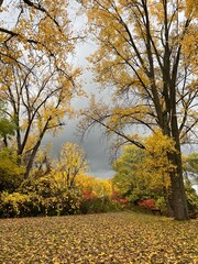 Autumn on a rainy day