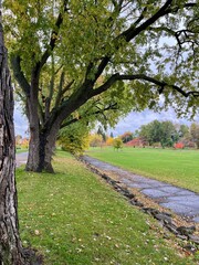 Autumn on a rainy day