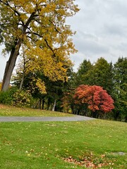 Autumn on a rainy day