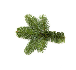 Naklejka premium Christmas tree branch isolated on white, top view