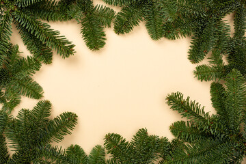 Christmas tree branches on color background, top view
