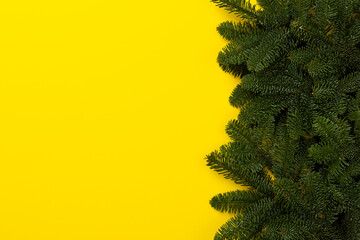 Christmas tree branches on color background, top view