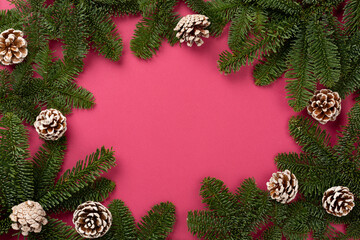 Christmas tree branches with cones on color background, top view