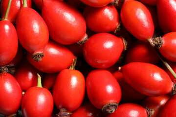 Texture of fresh rose hip berries as background