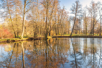 Autumn Reflection: Trees mirror in calm waters, creating a serene landscape with fall colors and clear skies.