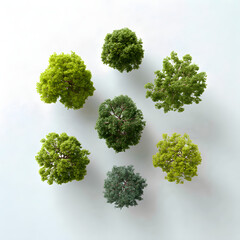 Aerial View of Seven Small Trees Arranged in a Circle, Displaying the Beauty of Nature