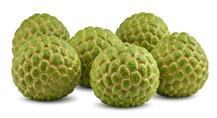 Obraz premium Realistic photo of several fresh green sugar apples with unique scaly skin, arranged on a clean white background.