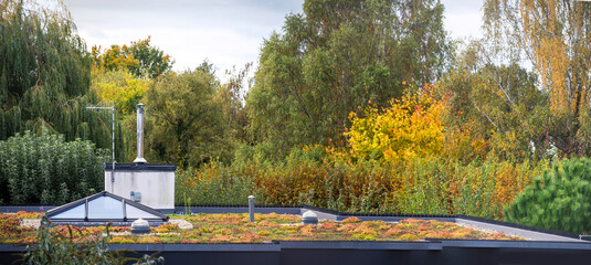A Living Roof,surrounded by Autumnal trees and plants,during a colorful Fall,Worcestershire,England.