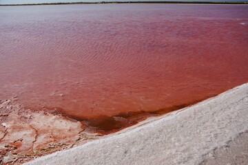 Fototapeta premium View of the pink lakes on the coast of Namibia. Natural evaporation ponds created by salt companies near the town Walvis Bay. The lakes contain the algae Dunaliella salina, which produce beta-carotene