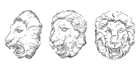 Hand drawing lion heads vector illustration