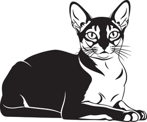 Elegant oriental cat line art drawing featuring a distinct feline portrait with large ears a sleek minimal black and white pet silhouette illustration ideal for design projects