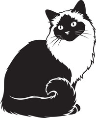 Obraz premium Elegant ragdoll cat silhouette sitting proudly detailed fur texture isolated on white pet animal art