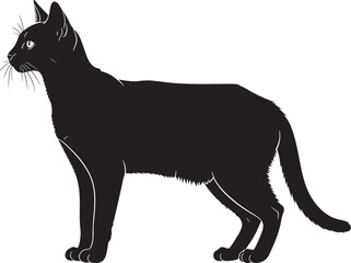 Elegant black cat silhouette standing gracefully showing its sleek form ideal for pet lovers and wildlife art designs